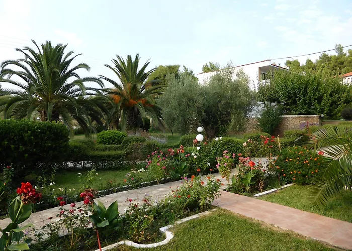 Hotel Porto Matina 3*